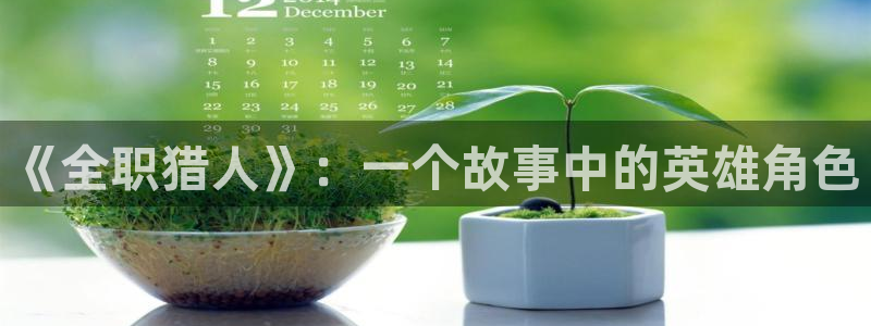 age动漫官方下载安卓：《全职猎人》：一个故事中的英雄角色