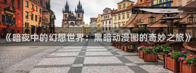 age动漫在线观看：《暗夜中的幻想世界：黑暗动漫图的奇妙之旅》