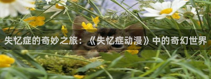 age动漫官网官：失忆症的奇妙之旅：《失忆症动漫》中的奇幻世界